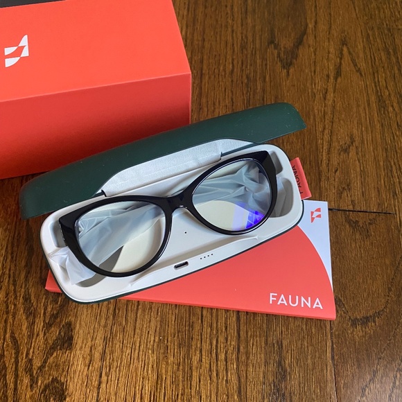 FAUNA Audio Levia Black with charging case Glasses